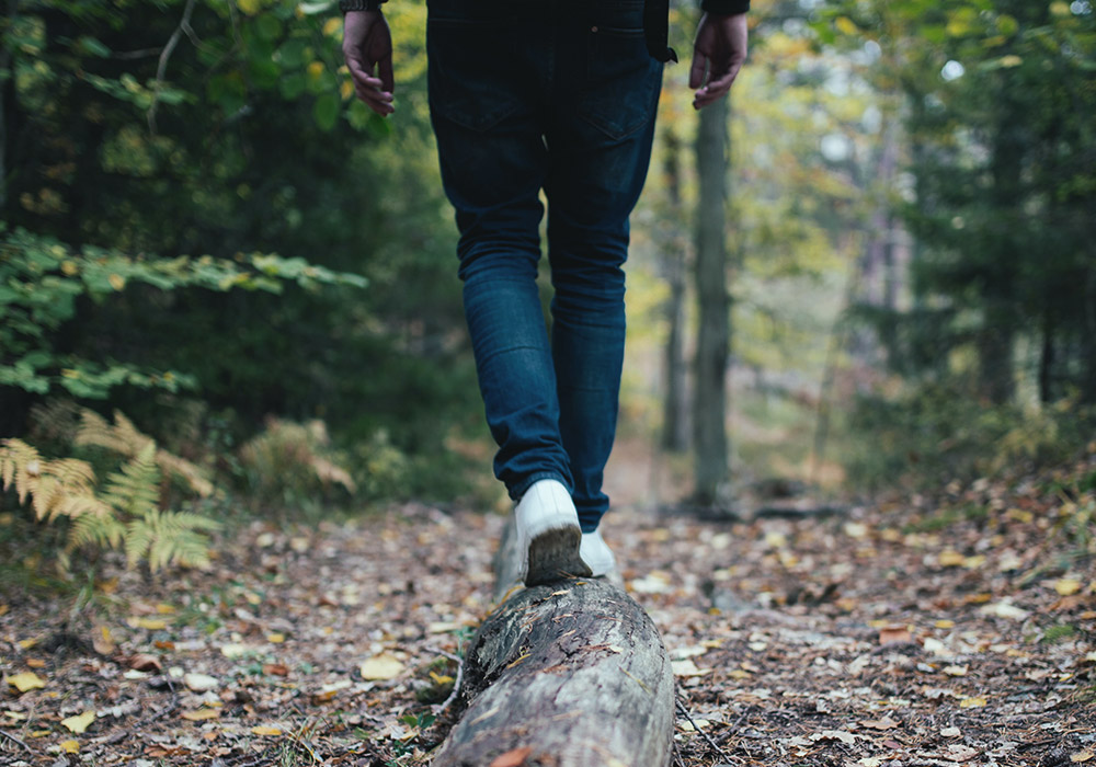 Into the wild
