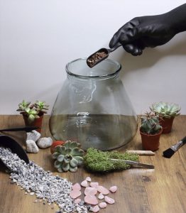 Open Terrarium Workshop @ The Pavilion, Graylingwell Park